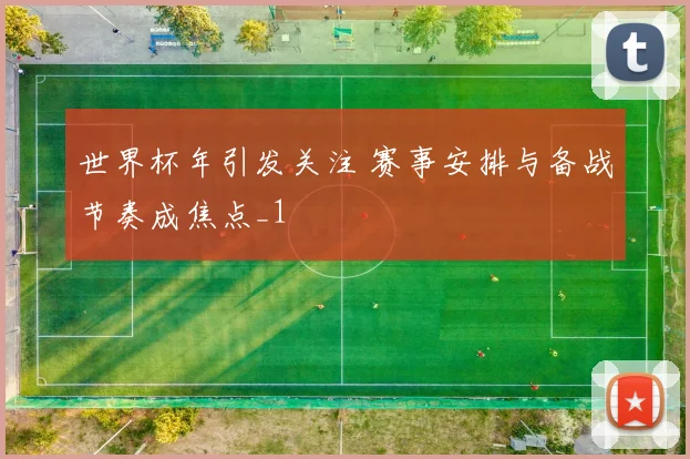 世界杯年引发关注 赛事安排与备战节奏成焦点_1