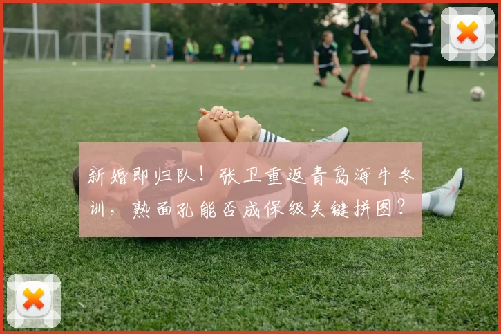 新婚即归队！张卫重返青岛海牛冬训，熟面孔能否成保级关键拼图？_磨合_赛季_防线
