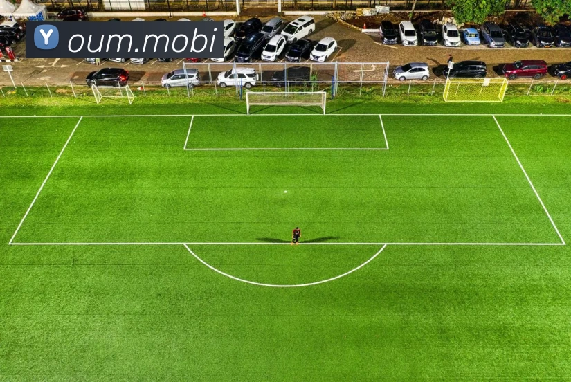 kaiyun - 中国大陆官方网站「网页版」发展历程